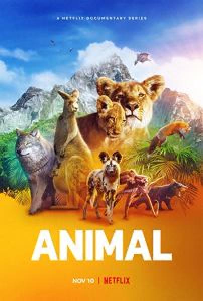 مسلسل Animal الموسم 1